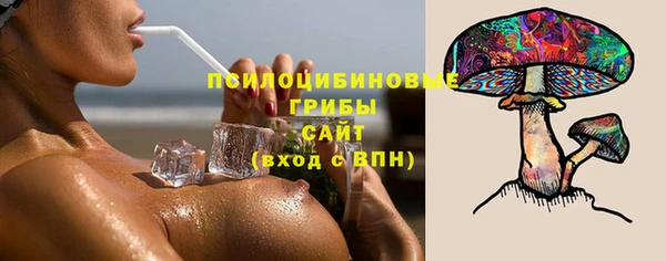 дживик Козловка
