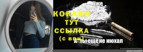 твердый Козельск