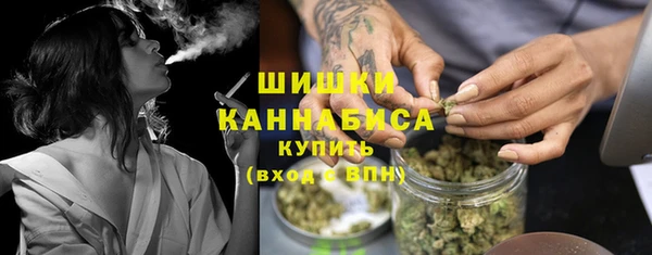 твердый Козельск