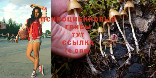 твердый Козельск