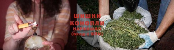 дживик Козловка