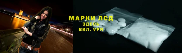 твердый Козельск