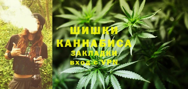 твердый Козельск