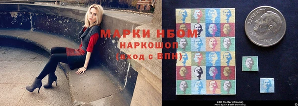 твердый Козельск
